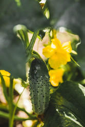 Similar image 21763474