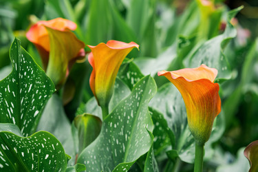 Similar image 21750507