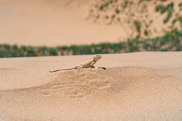 Similar image 21750513