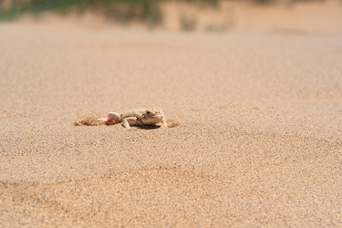 Similar image 21750921