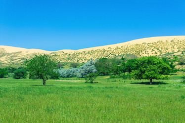 Similar image 21745333