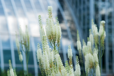 Similar image 21745336