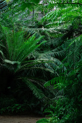 Similar image 21747547