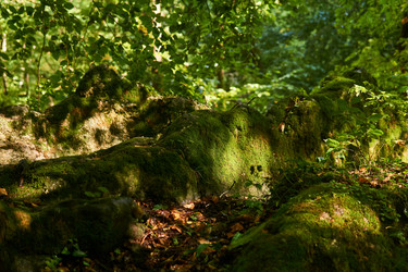 Similar image 21745343