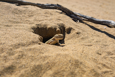 Similar image 21745527