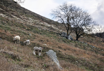 Similar image 21745531