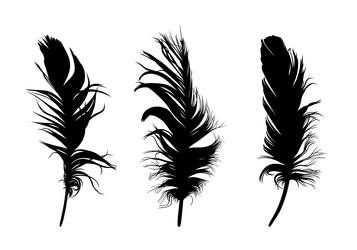 Similar image 21745686