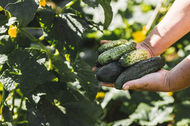 Similar image 21747163