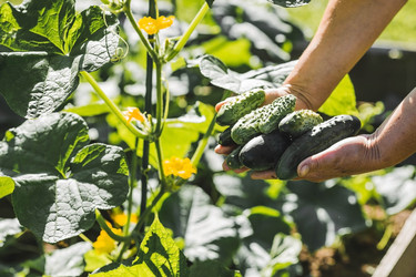 Similar image 21763475