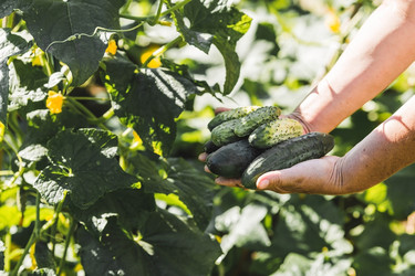 Similar image 21747164