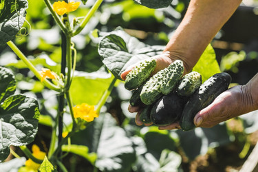 Similar image 21763476