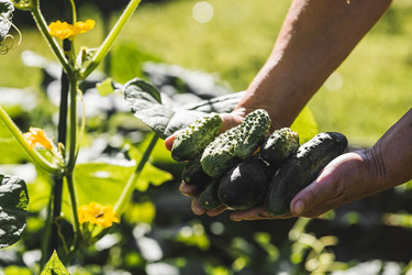 Similar image 21763477