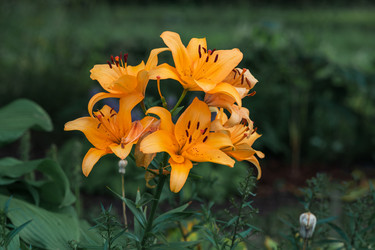 Similar image 21750289