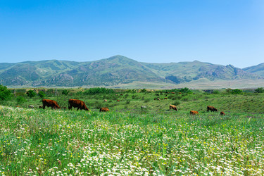 Similar image 21750295