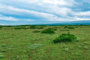 Similar image 21750299