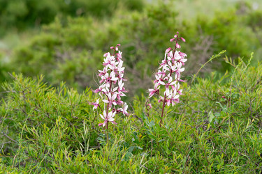 Similar image 21750520