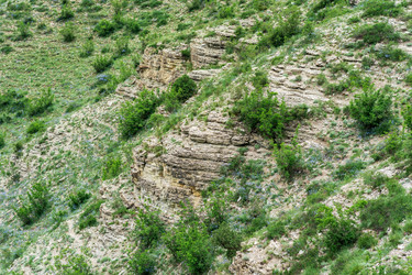 Similar image 21751174