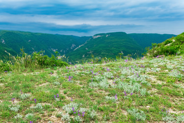 Similar image 21745538