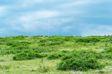 Similar image 21746416