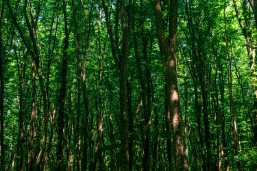 Similar image 21749882