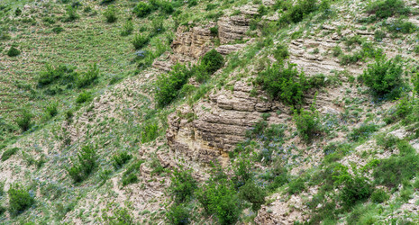 Similar image 21749883