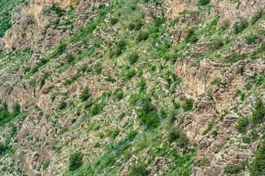 Similar image 21750081