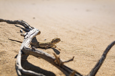 Similar image 21750309