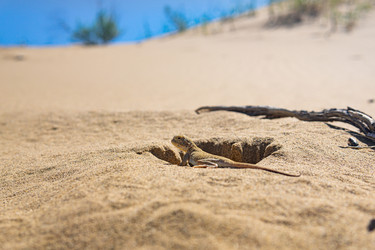 Similar image 21750528