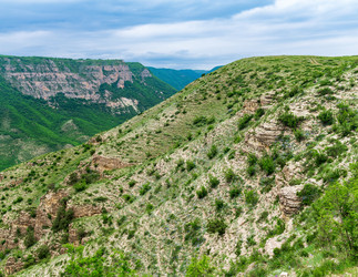 Similar image 21750934