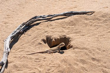 Similar image 21750935