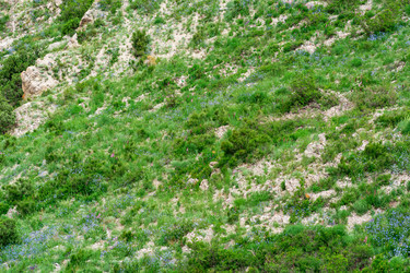 Similar image 21751180