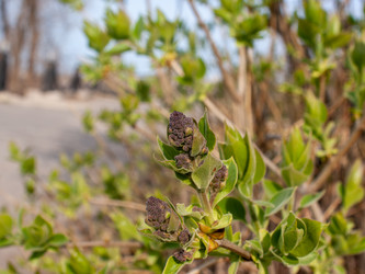 Similar image 21750084