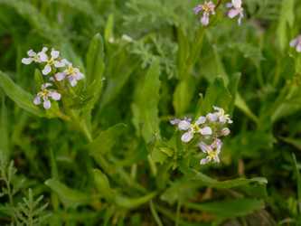 Similar image 21750665