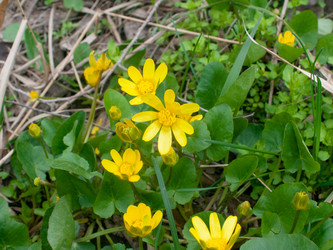 Similar image 21750679