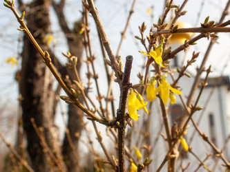 Similar image 21750681