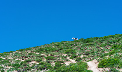 Similar image 21748385