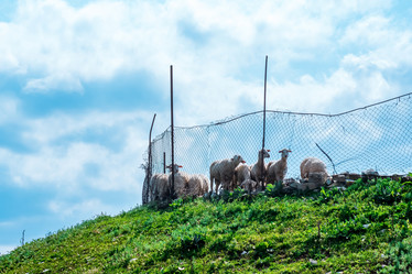 Similar image 21748393