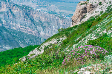 Similar image 21748398