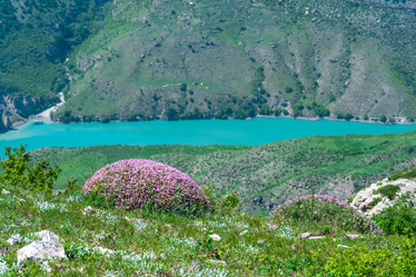 Similar image 21748400