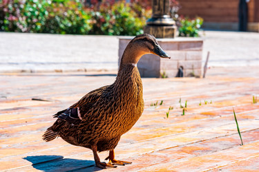 Similar image 21749889