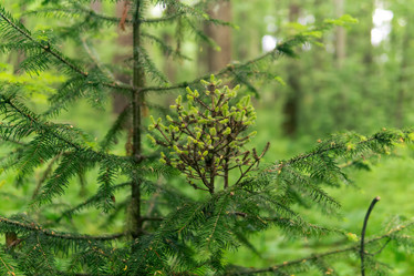 Similar image 21750086