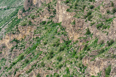 Similar image 21751183