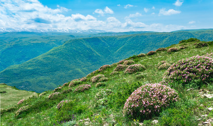 Similar image 21747554