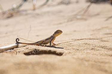 Similar image 21747556