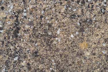 Similar image 21748155