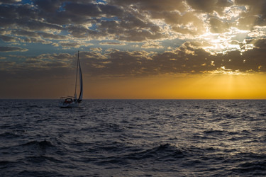 Similar image 21746031