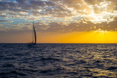 Similar image 21746033