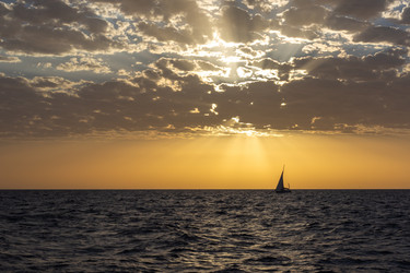 Similar image 21746038