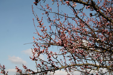 Similar image 21744183