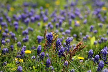 Similar image 21744184